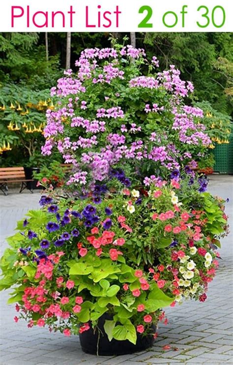 Colorful Mixed Pots Flower Gardening With 30 Plant Lists Plants