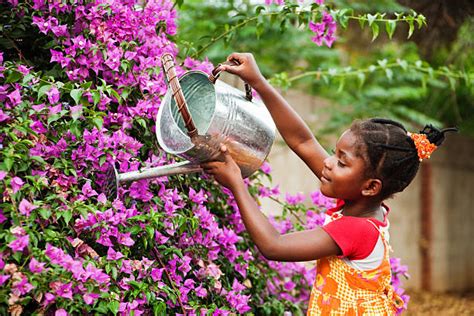 Girl Watering Plant Stock Photos Pictures And Royalty Free Images Istock