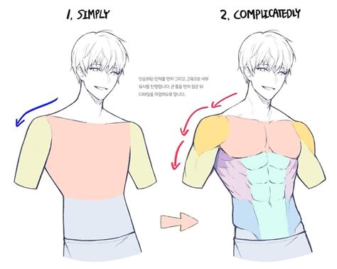 Back Muscles Drawing Reference Anime Back Muscles Drawing Reference