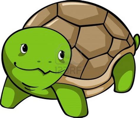 Cartoon Baby Turtle