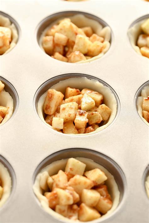 Mini Apple Pie Recipe With Canned Apples