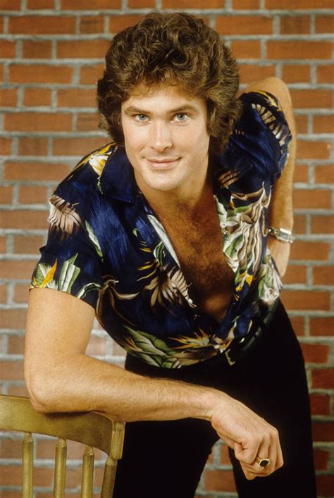 Dont Hassle The Hoff 30 Cheesy Portraits Of David Hasselhoff Like You