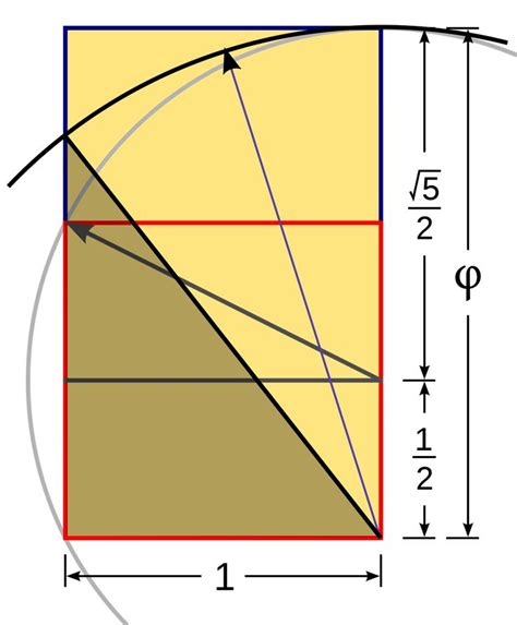 A Diagram Showing The Height And Width Of A Rectangle With An Area