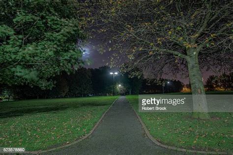 Park Trees Grass Night Photos And Premium High Res Pictures Getty Images