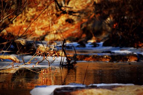 Wallpaper Water Nature Reflection Evening Morning Nikon