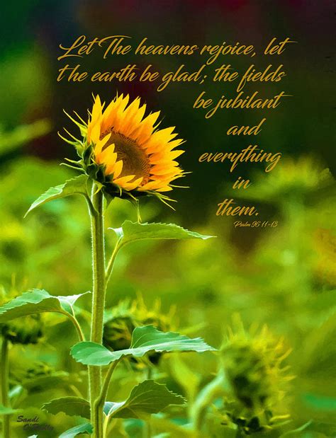 Sunflower Follows The Sun Scripture Photograph By Sandi Oreilly Fine Art America