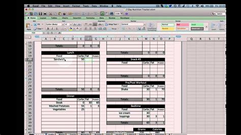 Excel Nutrition Tracking Template Youtube