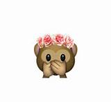 Photos of Flower Crown Emoji