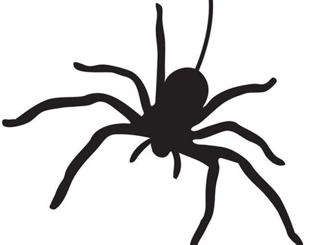 Stencil Of Spider Clipart Best