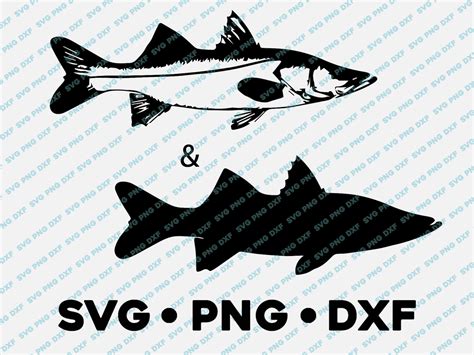 Snook Svg Png Dxf Vector Transparent Cricut Cameo Silhouette Etsy