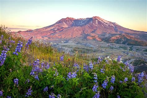 12 Top Rated Hiking Trails At Mount St Helens Visit Mt St Helens
