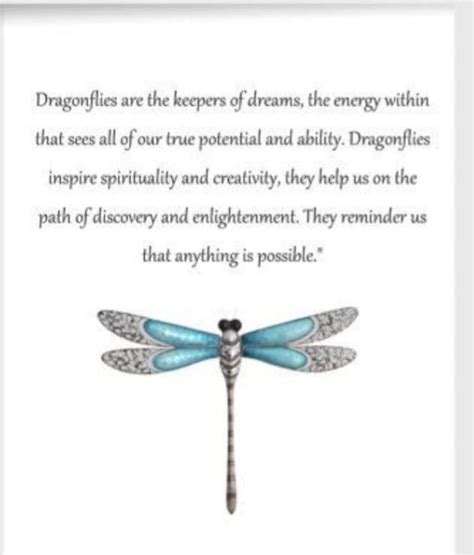 Dragonflies Are The Keepers Of Dreams The Energy Within That Sees All