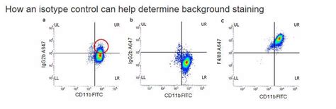 Bio Rad Isotype Controls In Flow Cytometry