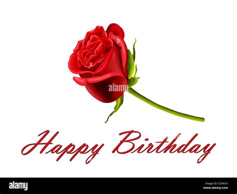 Happy Birthday Wallpaper With Red Rose