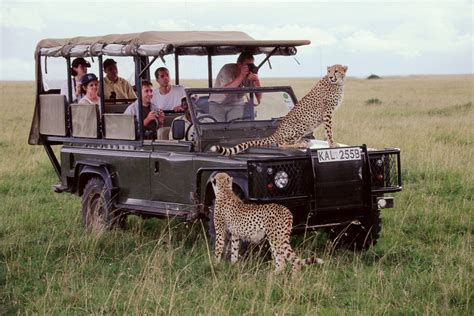 Days Kenya Safari For Beginners The Perfect Starter Kenya Safari