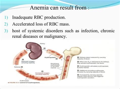 Final Anemia