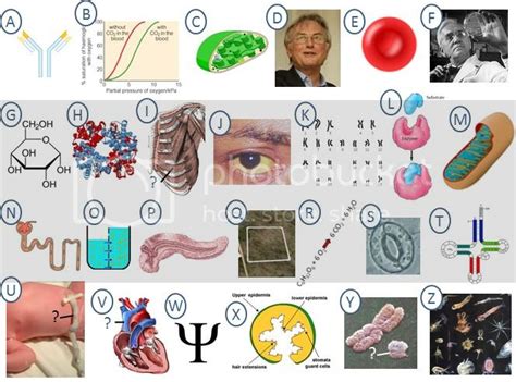 A Z Of Biology Pictures Quiz By Sufradley