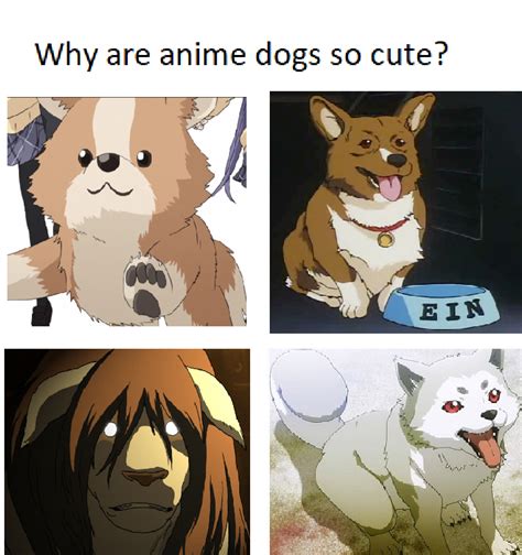 Why Are Anime Dogs So Cute Ranimemes