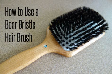 The boar bristles attach to the hair so sections of the hair can be dried. How to Brush Your Hair with a Boar Bristle Brush