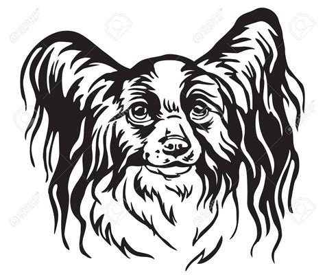 Decorative Portrait Of Papillon Dog Vector Isolated Illustration In