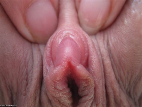 Clitoris Close Up DATAWAV