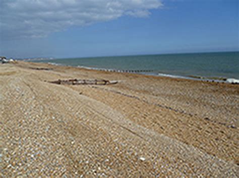 We work to minimise the incidence and. Pevensey Bay- Index