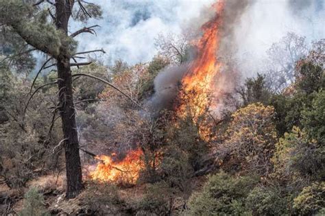 Lake Fire Now 31 Contained Evacuation Orders Remain In Place Daily News