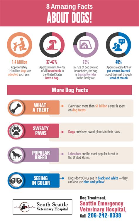 8 Amazing Facts About Dogs Shared Info Graphics