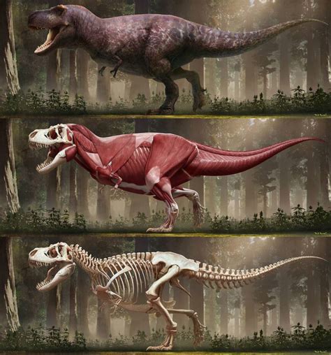 The Most Accurate Drawing Of A T Rex By Rj Palmer Rpics