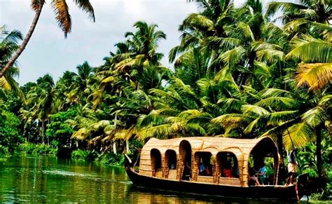 5 Things To Do When In Kerala Rover Holidays