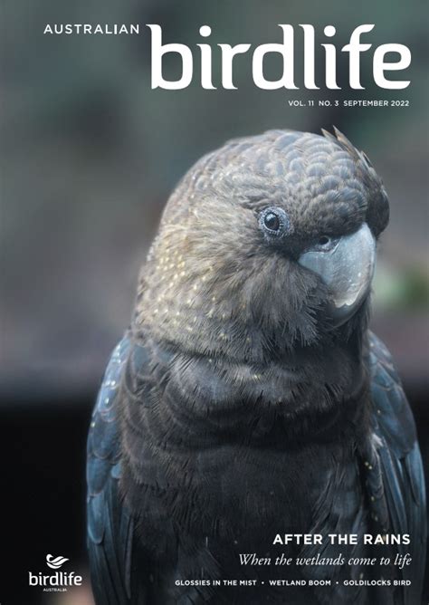 Australian Birdlife Magazine Birdlife Australia