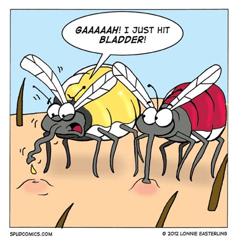 Mosquito Mistake Funny Mosquito Cartoon Jokes Funny Puns