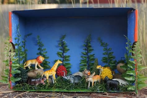 How To Make A Shoebox Diorama 28 Ideas Guide Patterns