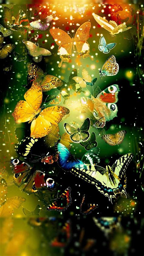 Butterflies Butterfly Colorful Nature Plenty Hd Phone Wallpaper