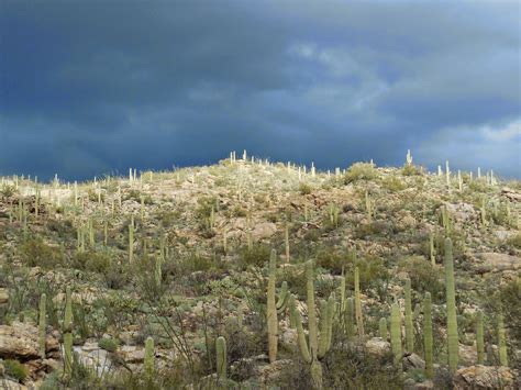 Ilmainen toimitus yli 29,90 euron tilauksiin. Exploring the American West: Tanque Verde Ridge to Juniper ...