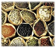 Please consider that while trading economics forecasts for commodities are made using our. Food Grains in Lucknow, खाद्य अनाज, लखनऊ - Latest Price ...