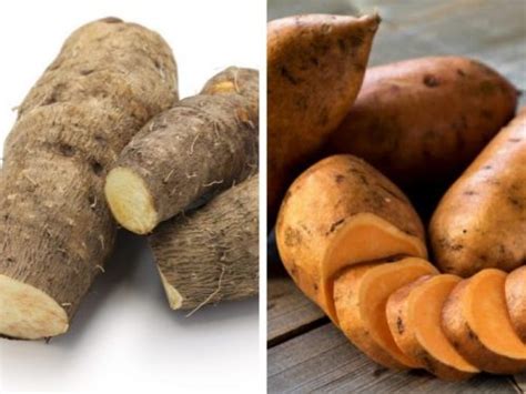 Difference Between Yams And Sweet Potatoes Organic Facts