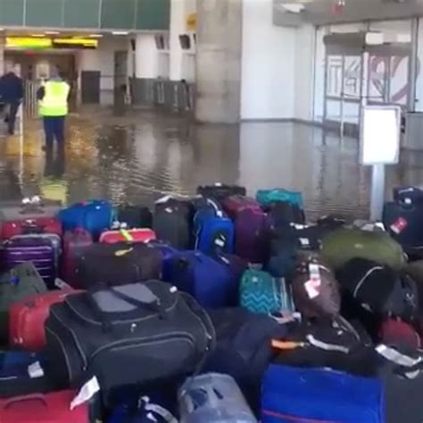 Jfk Terminal Floods In 3rd Day Of Post Storm Chaos