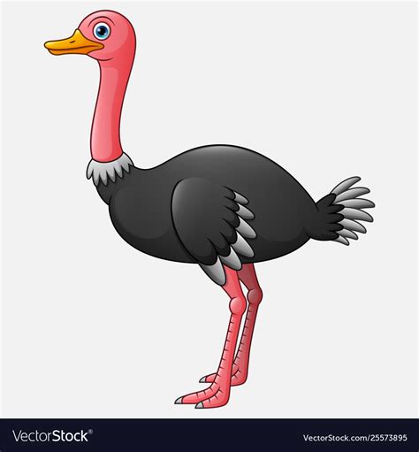 Cute Ostrich Cartoon White Background Royalty Free Vector