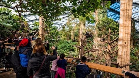 Henry Doorly Zoos Lied Jungle Back Open With Limited Hours