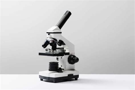 What Is Dark Field Microscopy Microscope Clarity