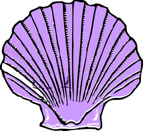 Clam Seashell Clip Art Shell Png Download 600554 Free
