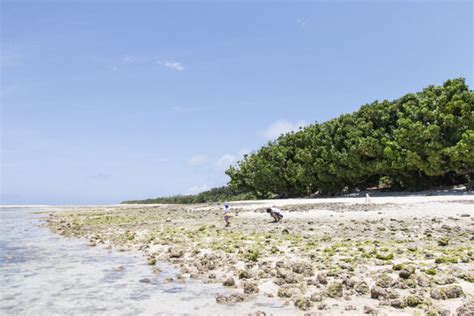 Check spelling or type a new query. The Star Sands of Hoshizuna-no-hama - Taketomi, Japan ...