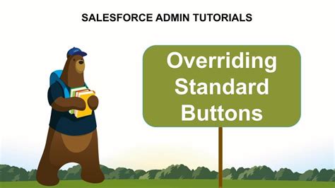 How To Override Standard Buttons With Visualforce Or Lightning