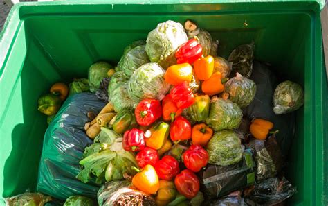Global Food Waste Problem Is Much Bigger Than We Thought