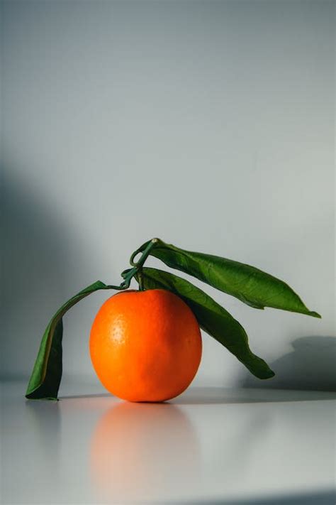 Close Up Photo Of Orange Fruit · Free Stock Photo