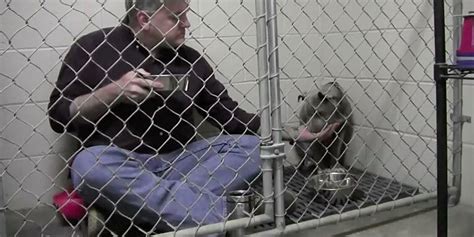 This Loving Vet Ate Out Of A Dog Bowl To Get A Traumatized Rescue Pup