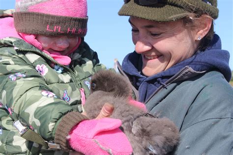 Tourette syndrome and comorbid pervasive developmental disorders. Women in Waterfowl | women_in_waterfowl