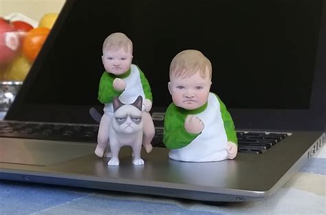 Join the fun and of course subscribe to be first to watch our newest videos! Success Kid on Grumpy Cat 3D print Meme 3D Model 3D ...