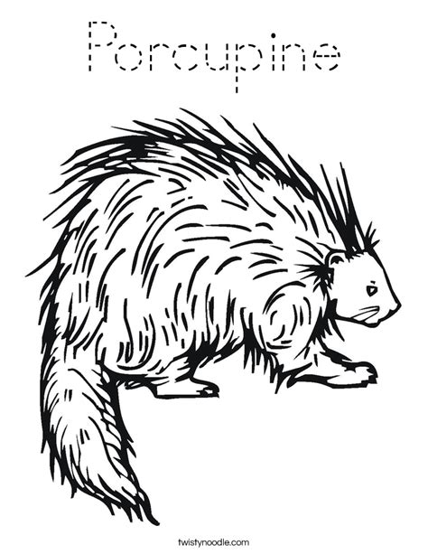 Porcupine Coloring Page Tracing Twisty Noodle